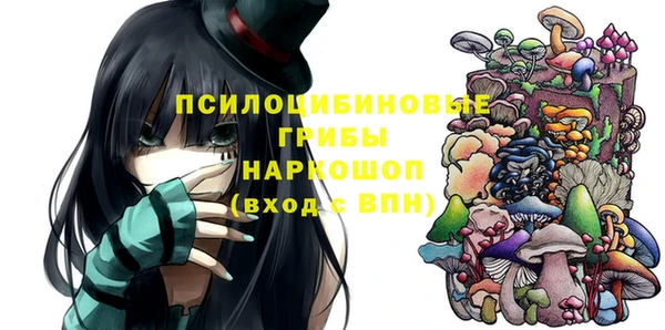бошки Нягань