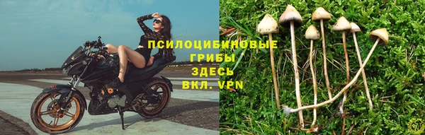 меф Нязепетровск