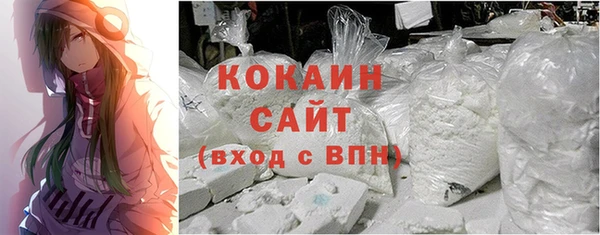 первитин Няндома