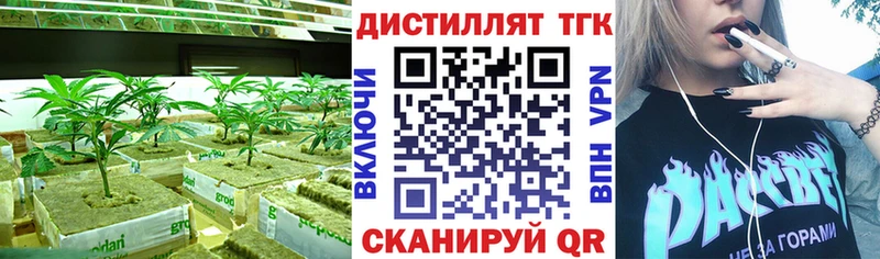 ТГК Wax  mega вход  Абаза  где найти  