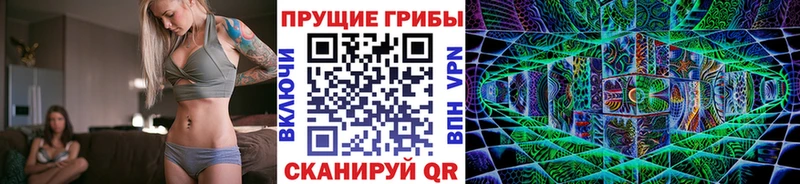Галлюциногенные грибы Psilocybine cubensis  закладка  Абаза 